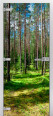 Forest-03 (Фотопечать) Мини фото #0