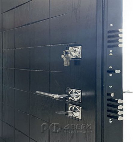 Входная металлическая дверь Сенатор ПЛЮС ALBERO BLACK Fusion (Альберо Блэк/Chiaro Patina Argento (Ral 9003))