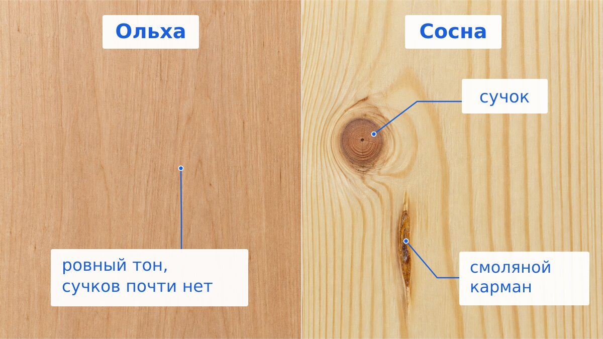 Сравнение фактуры ольхи и сосны крупным планом