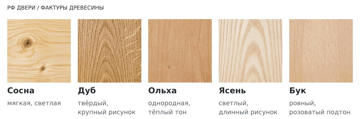 Текстура древесины сосны, дуба, ольхи, ясеня и бука