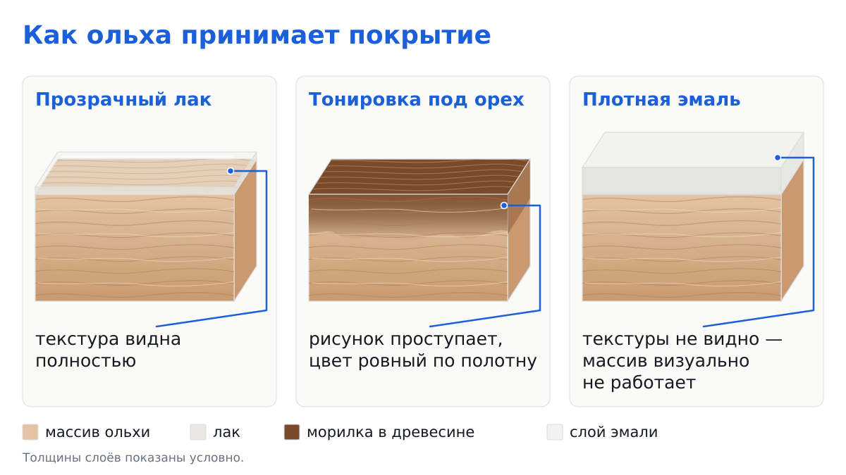 Схема: ольха под лаком, под тонировкой и под эмалью в разрезе