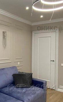 Межкомнатная дверь Турин ПО (Эмаль черная/Патина серебро/Прозрачное)