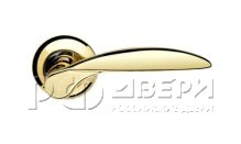 Ручка для межкомнатной двери Armadillo Diona LD20-1GP/CP-2 (Золото/Хром)