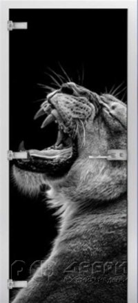 Стеклянная межкомнатная дверь Animals-20 ПО (Фотопечать)