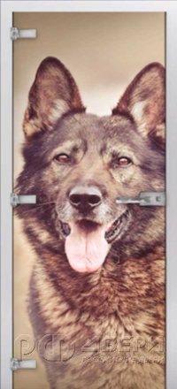 Стеклянная межкомнатная дверь Animals-17 ПО (Фотопечать)