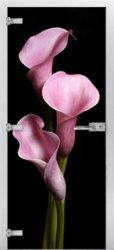 Стеклянная межкомнатная дверь Flowers-02 ПО (Фотопечать)