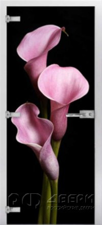 Стеклянная межкомнатная дверь Flowers-02 ПО (Фотопечать)