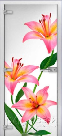 Стеклянная межкомнатная дверь Flowers-03 ПО (Фотопечать)