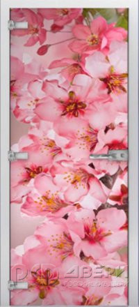 Стеклянная межкомнатная дверь Flowers-05 ПО (Фотопечать)