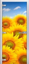 Стеклянная межкомнатная дверь Flowers-07 ПО (Фотопечать)