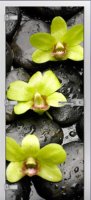 Flowers-11 ПО (Фотопечать)
