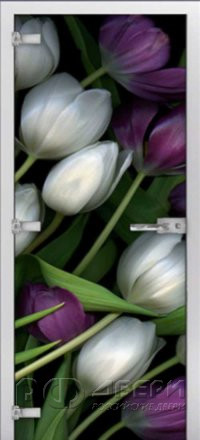 Стеклянная межкомнатная дверь Flowers-12 ПО (Фотопечать)