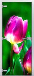 Стеклянная межкомнатная дверь Flowers-15 ПО (Фотопечать)