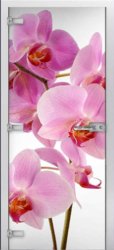 Стеклянная межкомнатная дверь Flowers-17 ПО (Фотопечать)