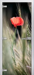 Стеклянная межкомнатная дверь Flowers-18 ПО (Фотопечать)