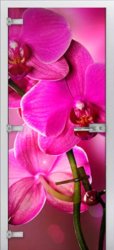 Стеклянная межкомнатная дверь Flowers-19 ПО (Фотопечать)