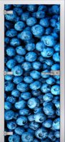 Fruite-3 ПО (Фотопечать)