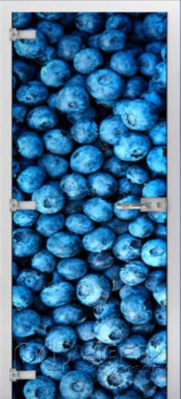 Стеклянная межкомнатная дверь Fruite-3 ПО (Фотопечать)