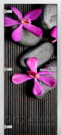 Стеклянная межкомнатная дверь Spa-07 ПО (Фотопечать)