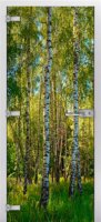 Forest-20 ПО (Фотопечать)