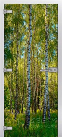 Стеклянная межкомнатная дверь Forest-20 ПО (Фотопечать)