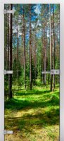 Forest-03 ПО (Фотопечать)