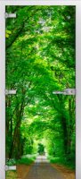Forest-05 ПО (Фотопечать)