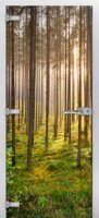 Forest-13 ПО (Фотопечать)