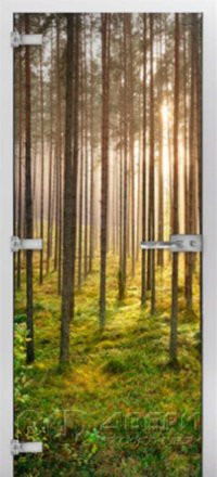 Стеклянная межкомнатная дверь Forest-13 ПО (Фотопечать)