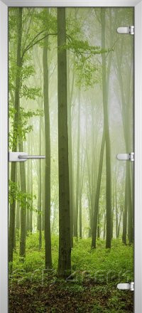 Стеклянная межкомнатная дверь Forest-15 ПО (Фотопечать)