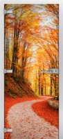 Forest-16 ПО (Фотопечать)