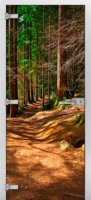 Forest-17 ПО (Фотопечать)