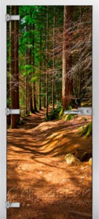Стеклянная межкомнатная дверь Forest-17 ПО (Фотопечать)