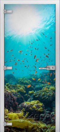 Стеклянная межкомнатная дверь Underwater World-06 ПО (Фотопечать)