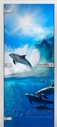 Стеклянная межкомнатная дверь Underwater World-09 ПО (Фотопечать)