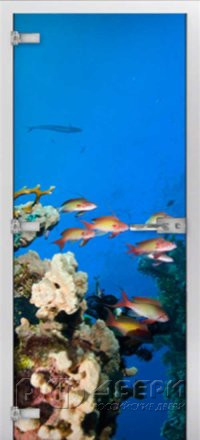 Стеклянная межкомнатная дверь Underwater World-10 ПО (Фотопечать)