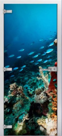 Стеклянная межкомнатная дверь Underwater World-11 ПО (Фотопечать)