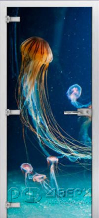 Стеклянная межкомнатная дверь Underwater World-12 ПО (Фотопечать)