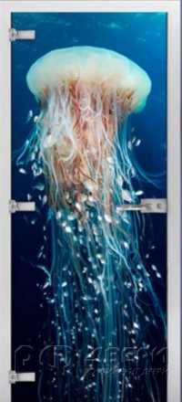 Стеклянная межкомнатная дверь Underwater World-13 ПО (Фотопечать)
