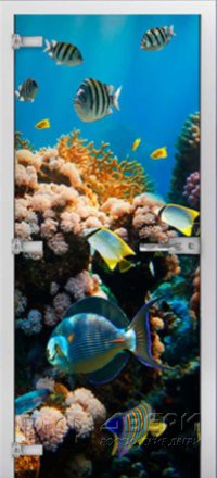 Стеклянная межкомнатная дверь Underwater World-14 ПО (Фотопечать)