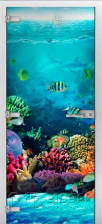 Стеклянная межкомнатная дверь Underwater World-19 ПО (Фотопечать)