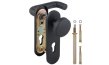 DH-043P-KNOB NE с пружиной BL-24 (Черный)