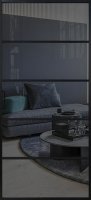 Alum 5 (Черный/Прозрачное графит)