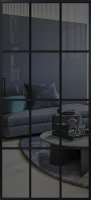 Alum 10 (Черный/Прозрачное графит)