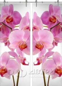 Стеклянная дверь раздвижная Flowers-17 ПО (Фотопечать)