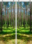 Forest-03 ПО (Фотопечать)