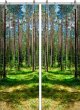 Forest-03 ПО (Фотопечать) Мини фото #1
