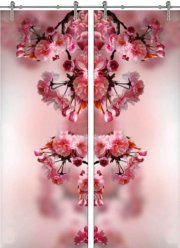 Стеклянная дверь раздвижная Flowers-16 ПО (Фотопечать)