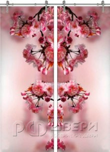 Стеклянная дверь раздвижная Flowers-16 ПО (Фотопечать)
