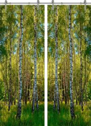 Стеклянная дверь раздвижная Forest-20 ПО (Фотопечать)
